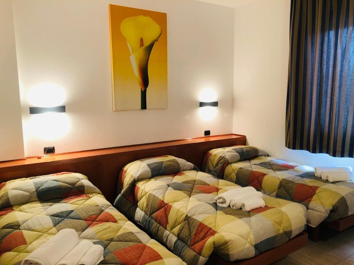 Hotel Softwood 2*
