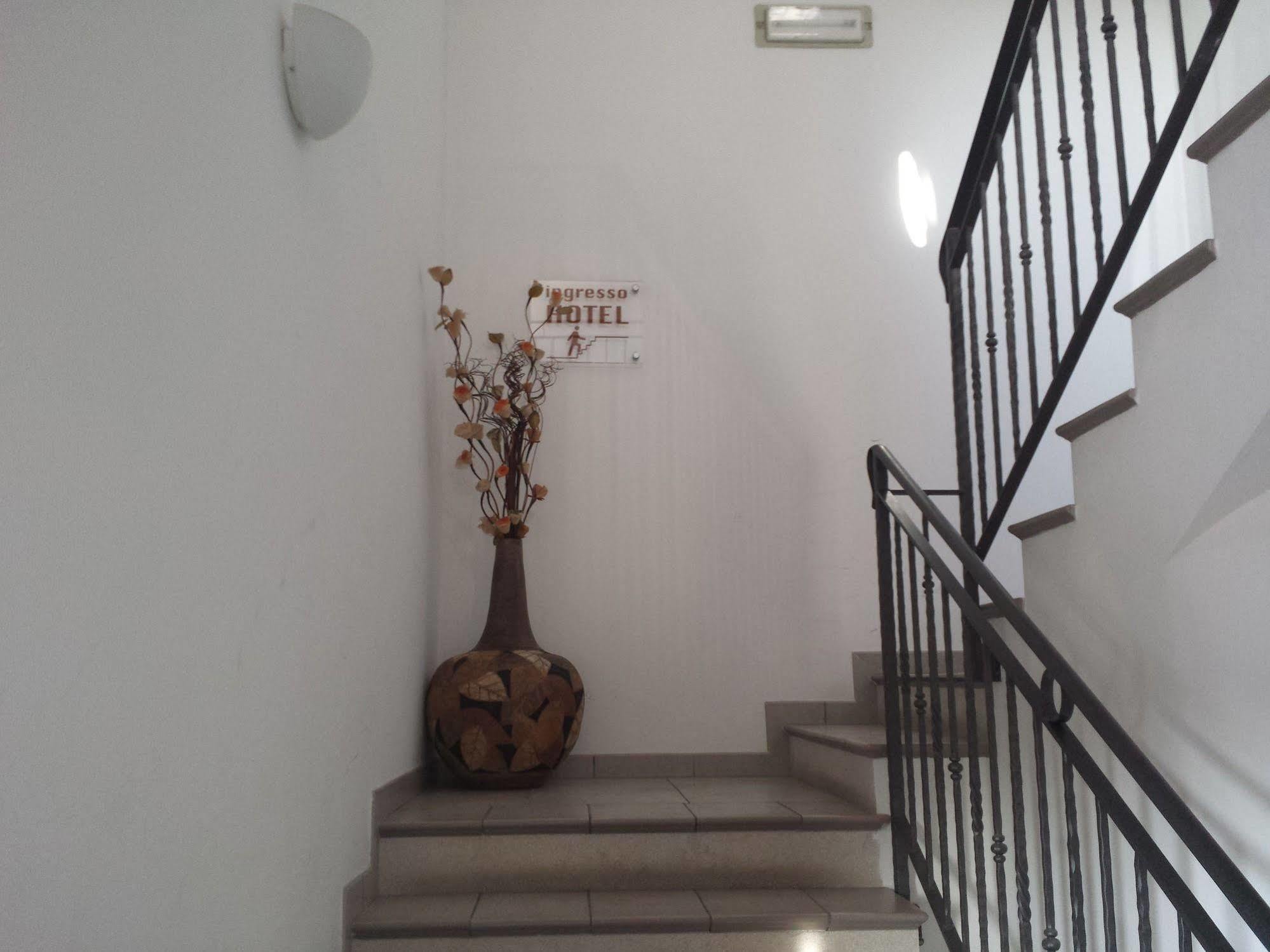 Softwood Recanati